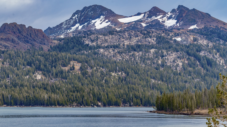 mountains and forests above Caples Lake