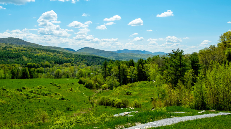 Taconic Ramble State Park landscape in the Taconic Mountains, Vermont