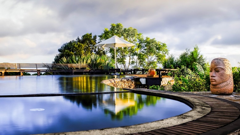 A sculpture overlooks the infinity pool at Strawberry Hill Hotel