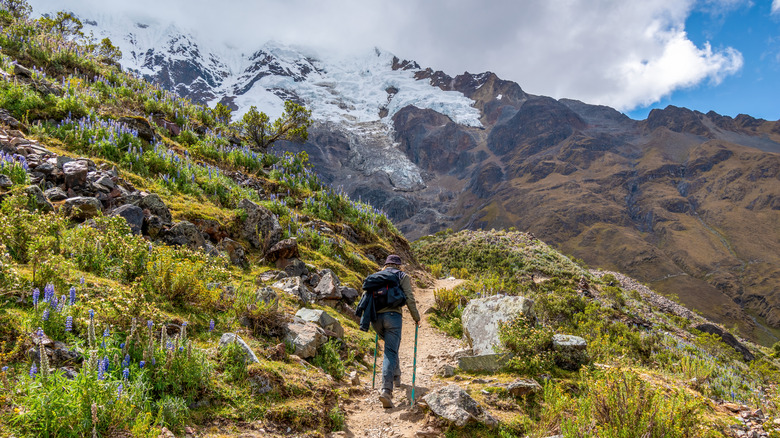A hiker on the Salkantay trail