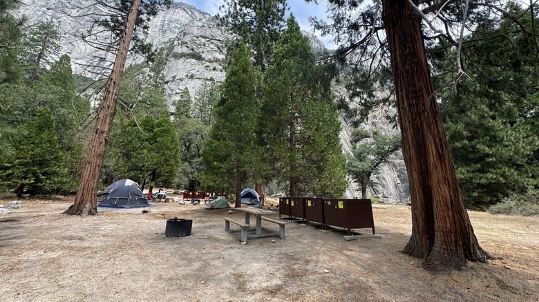 Camp 4 campsite in Yosemite National park