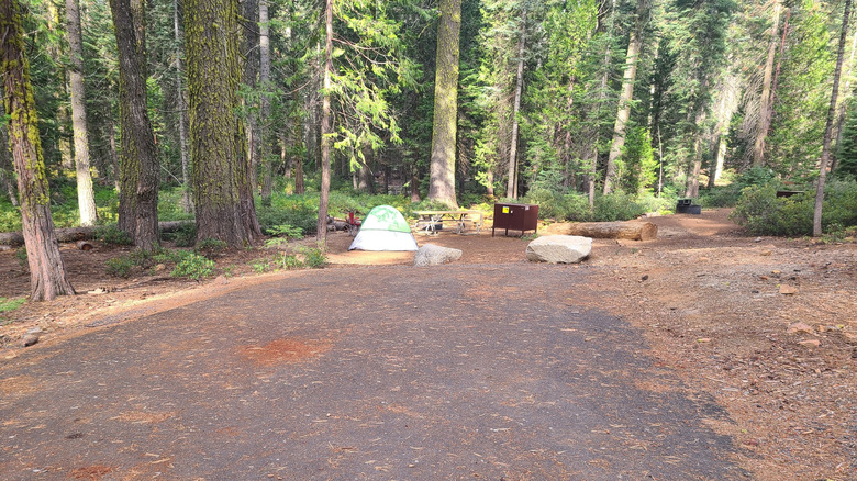 Crane Flat Campgrounds in Yosemite National Park