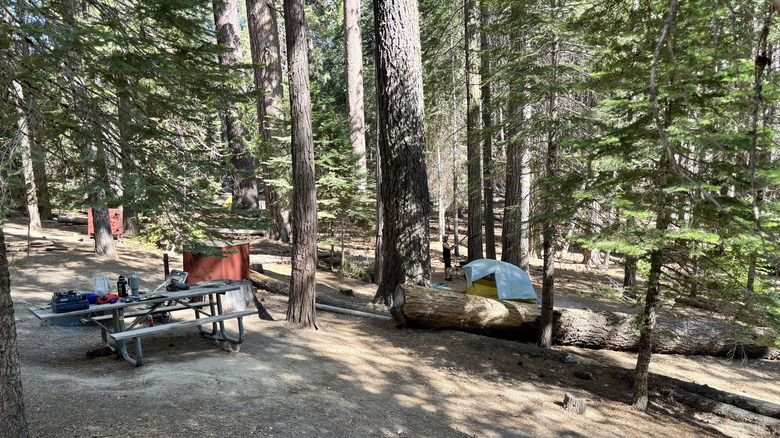 Sloping campground at Hodgdon Meadow in Yosemite National Park