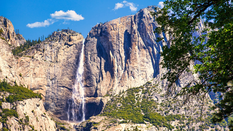 Yosemite Falls in Yosemite National Park