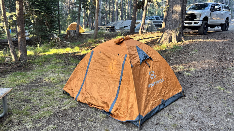 Yosemite Creek Campground in Yosemite National Park