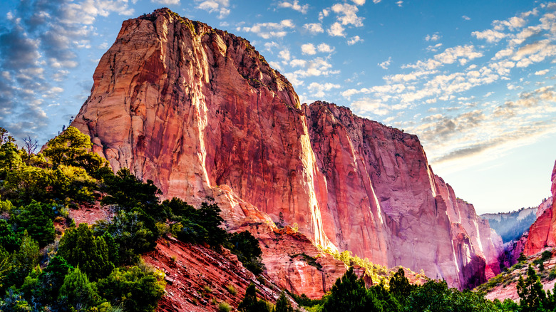 Lee Pass area in Zion National Park