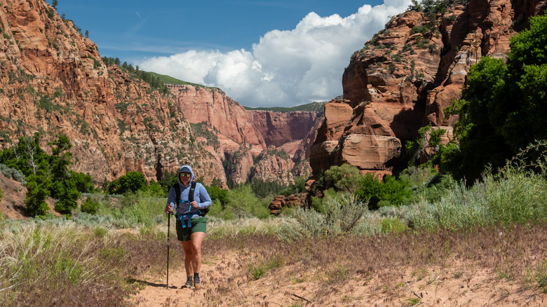 The Hop Valley area of the Zion Transverse