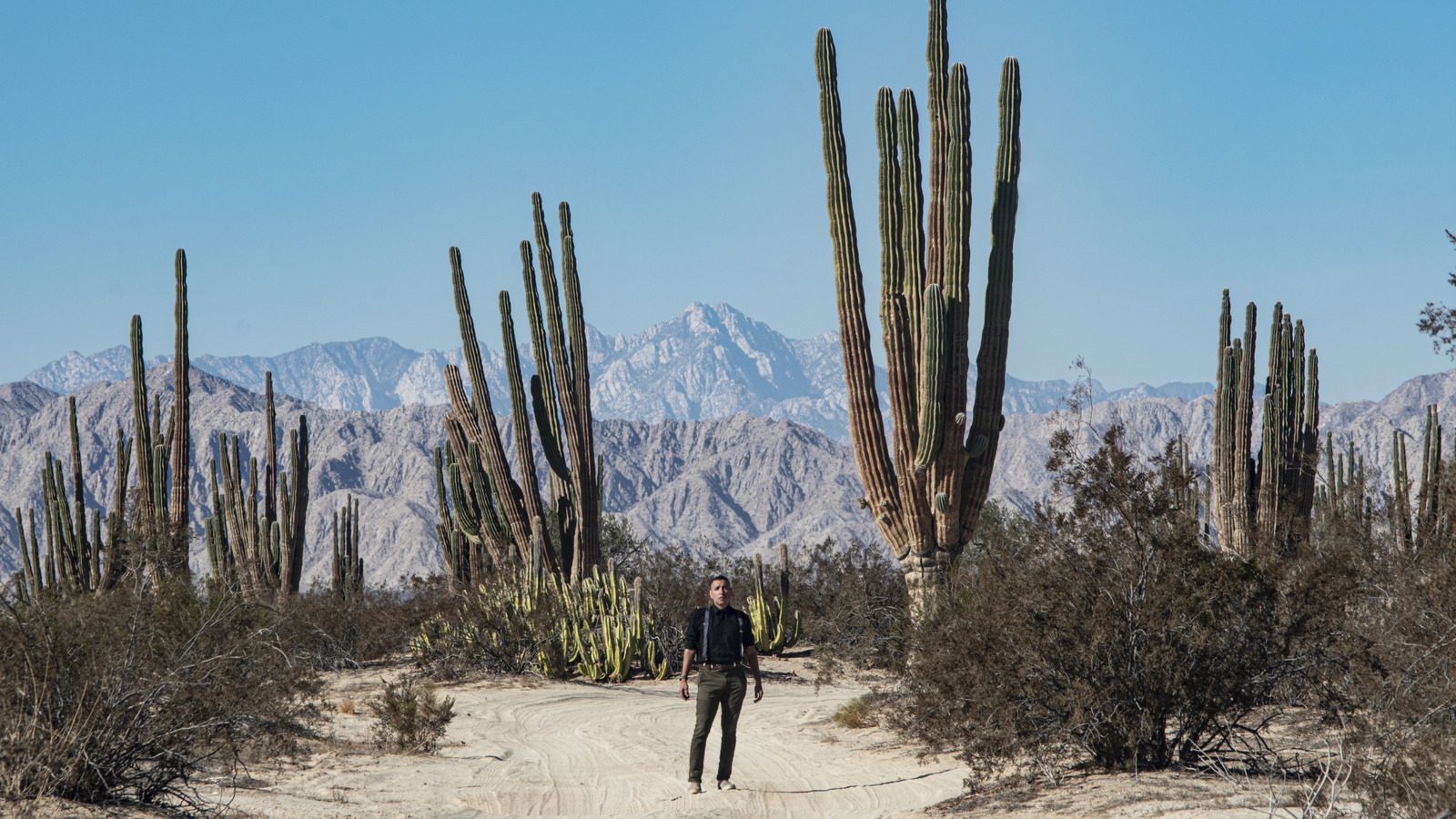 Avoiding A Drink Of This If You're Stranded In The Desert Could Save Your  Life