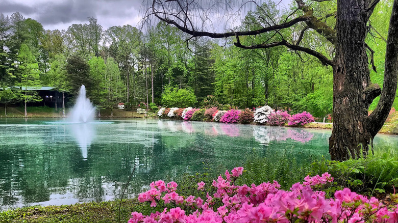A spring-fed lake at Azalea Path Arboretum & Botanical Gardens, IN
