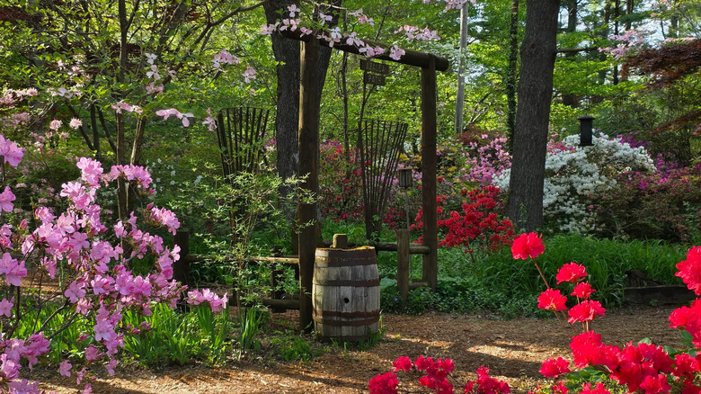 A wooded trail at the Azalea Path Arboretum and Botanical Gardens, IN