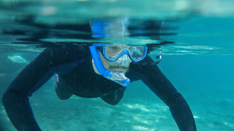 Snorkeler in wetsuit submerged underwater