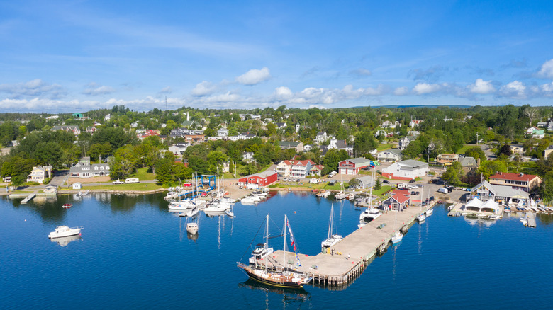 Aerial view of the harbor in Baddeck