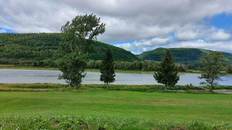 Views of the rollings hills and scenic lake at Bald Eagle State Park in PA, surrounded by lush greenery.