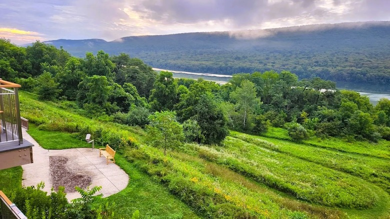 Scenic views from the lodge at Bald Eagle State Park in PA, surrounded by lush greenery, with a lake framed by rolling hills.