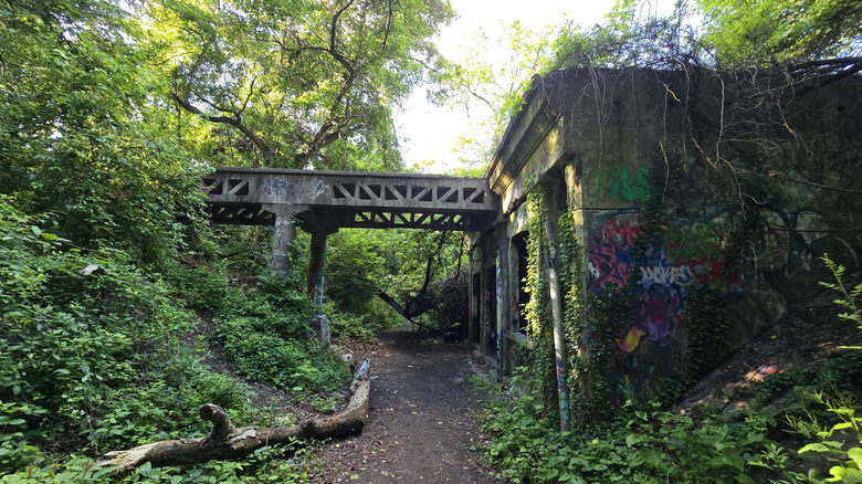 Abandoned building with graffiti and vines next to a dirt path under a bridge, surrounded by vegetation