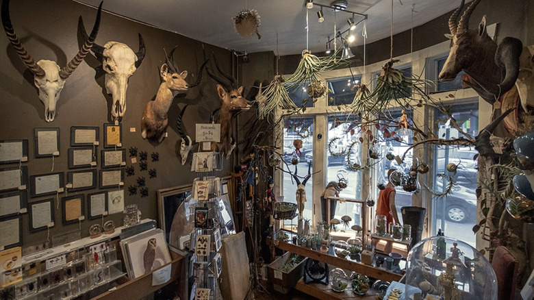 The interior of Bazaar marketplace in Baltimore, Maryland