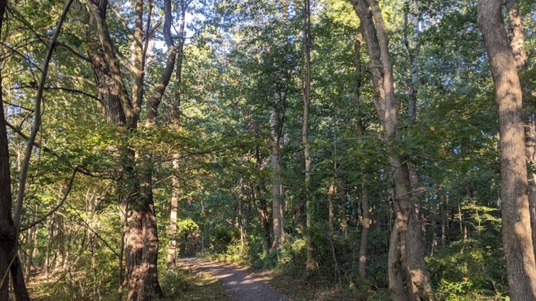 Walking trail through Cowenton Ridge Park in Perry Lane, Maryland