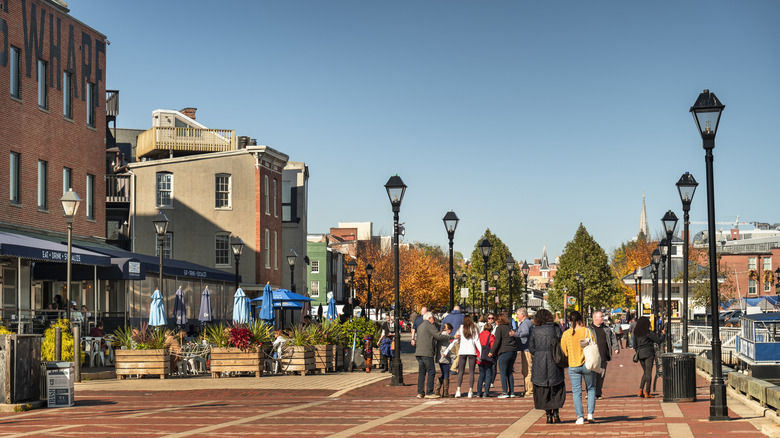 Boardwalk in Fell's Point, with buildings on the left and crowds walking between rows of lightpoles under a blue sky