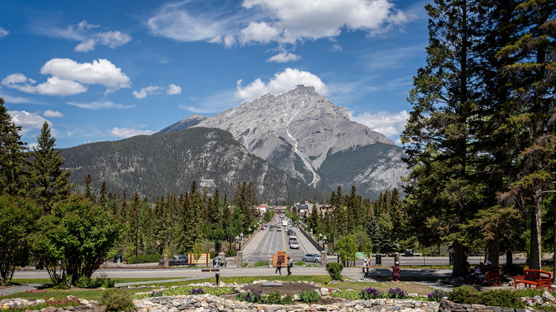 View of Cascade Mountain from the Cascade of Time Garden