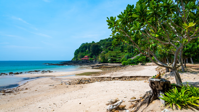 Trees and ocean at Bamboo Beach in Koh Lanta, Thailand.