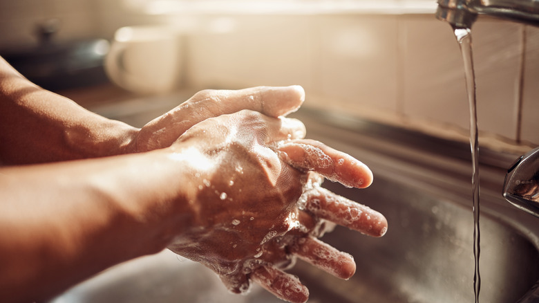 Closeup of person washing hands with soap