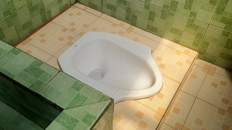 Squat toilet with green and yellow tiles