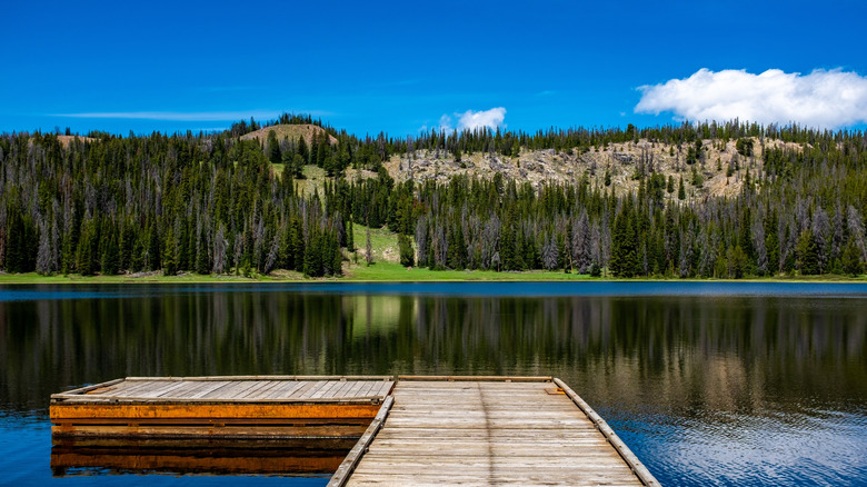 Dock on Bayhorse Lake blue sky evergreen trees across