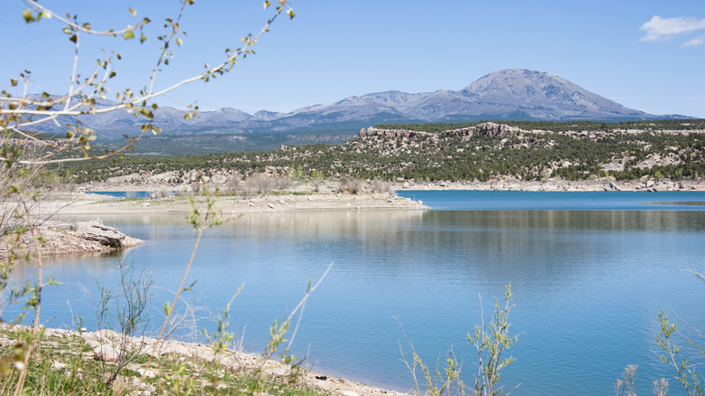 Mountains and twigs in Lake Sweetwater, Texas