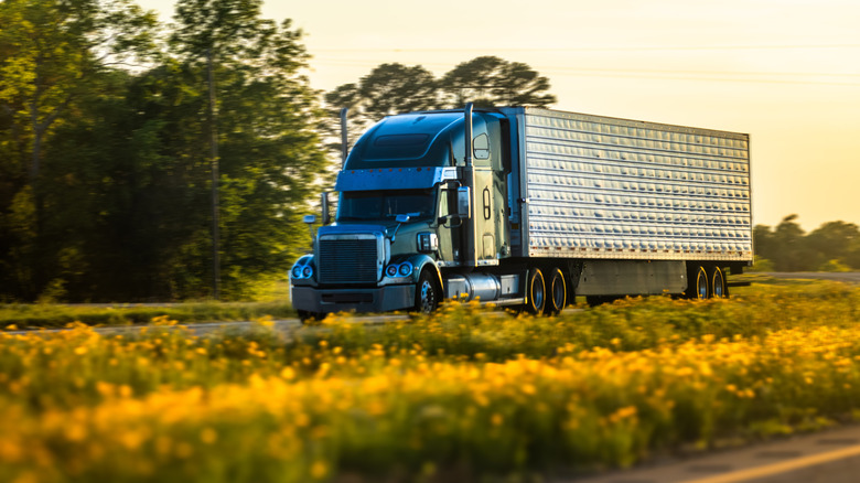 Truck speeding through yellow flowers and golden light