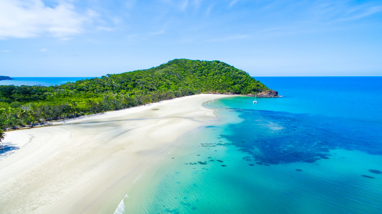 Cape Tribulation Queensland Australia