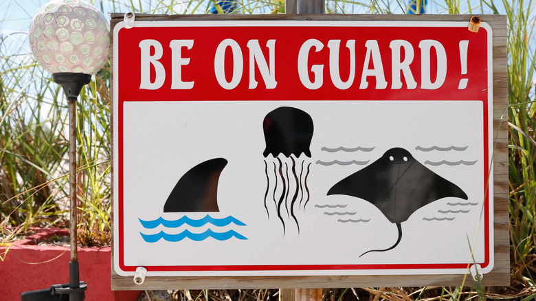 Red and white sign warning of beach dangers