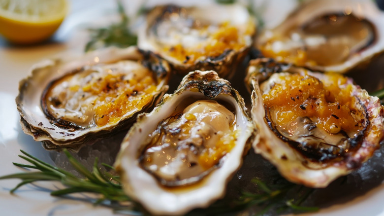 A closeup on a plate of oysters