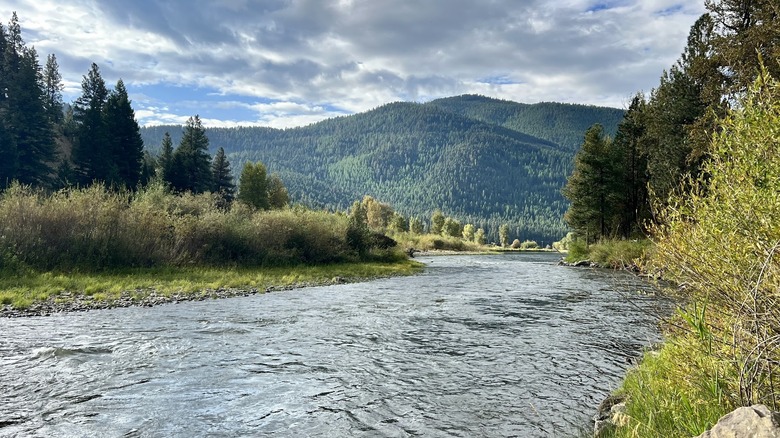 A scenic view of the Clark Fork River at Beavertail Hill State Park in Montana