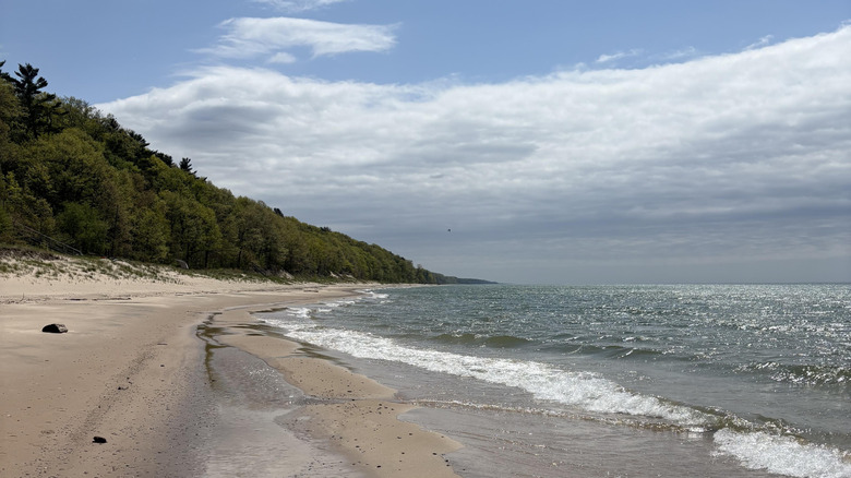 A sandy beach with green trees in the background beneath a blue sky in Berrien County.