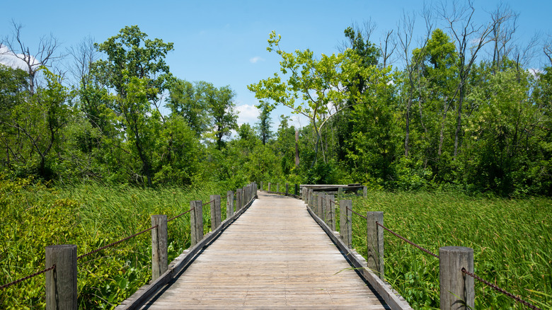 Mount Vernon Trail in Alexandria