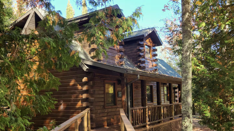 Exterior of log cabin in the forest