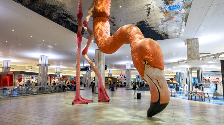 Phoebe the flamingo in Tampa
