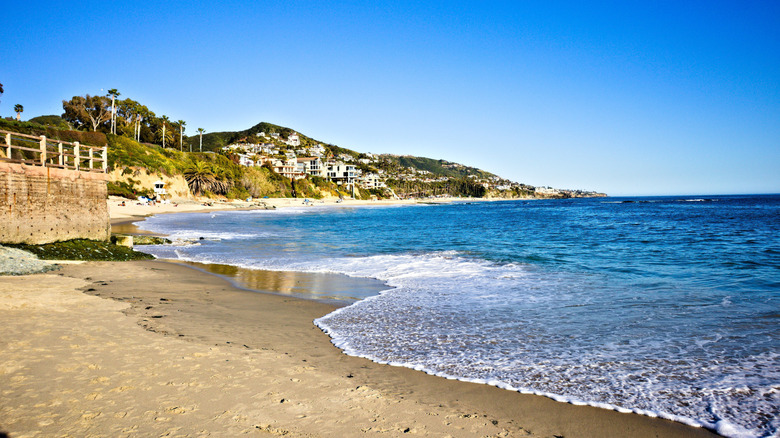 Aliso Beach coastline houses