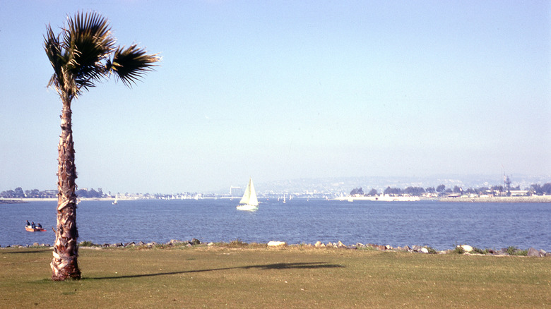 west mission bay from bonita cove