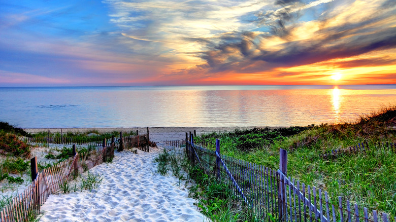 Sandy path leading to Race Point Beach in Massachusetts