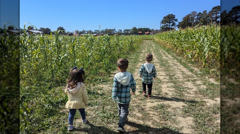 Three toddlers walking through Hubb's Farm Corn Maze in Clinton, North Carolina