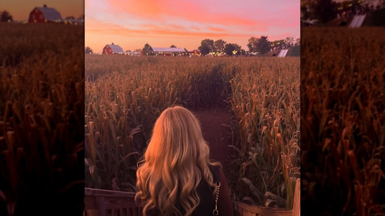 The back of a person's head as they look out over a corn maze at Richardson Adventure Farm in Spring Grove, Illinois