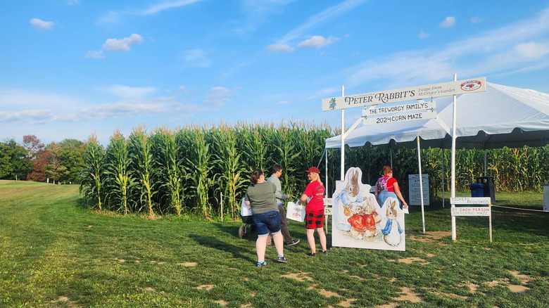 People standing outside the entrance to Treworgy Family Orchards' 2024 Peter Rabbit corn maze in Levant, Maine