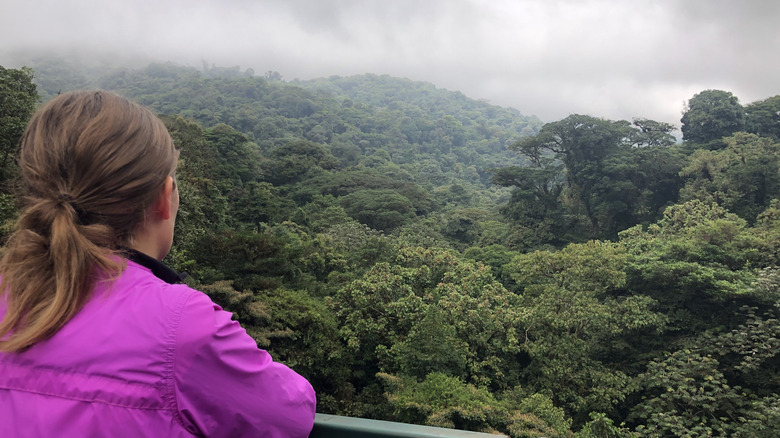 A young woman observing the rainforest canopy on a suspension bridge in the Monteverde Cloud Forest, Costa Rica.