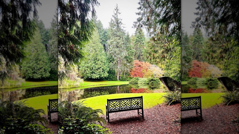 Bloedel Reserve, WA