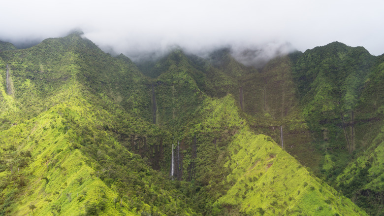 The rugged, verdant green landscape and waterfalls of Kauai