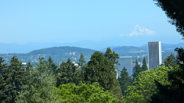 View of Portland, Oregon, and Mount Hood from the woods
