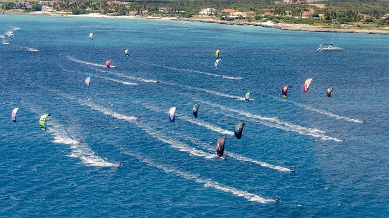 Paragliders in Aruba