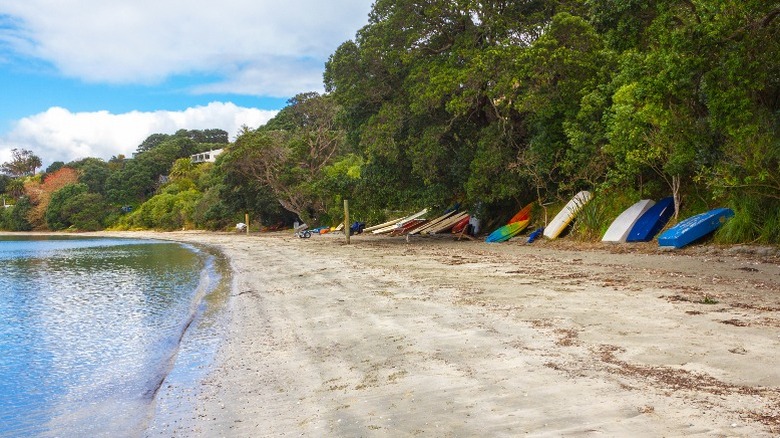 beach in Waiheke, New Zealand