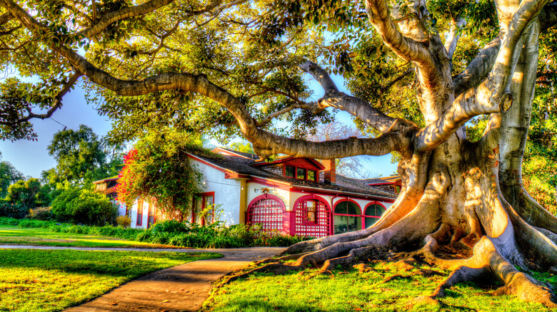 The Ranch House at Rancho Los Alamitos in Long Beach